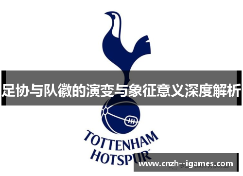 足协与队徽的演变与象征意义深度解析