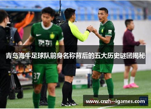青岛海牛足球队前身名称背后的五大历史谜团揭秘
