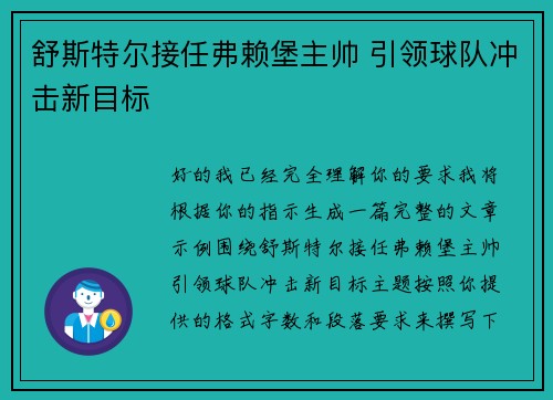 舒斯特尔接任弗赖堡主帅 引领球队冲击新目标