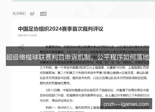 超级橄榄球联赛判罚申诉机制，公平程序如何落地