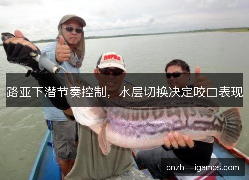 路亚下潜节奏控制，水层切换决定咬口表现